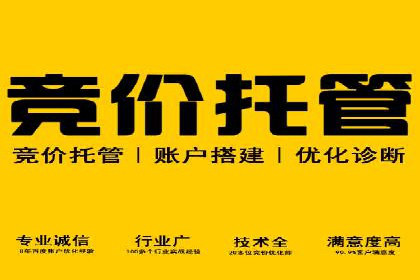 竞价开户推广案例营销策略